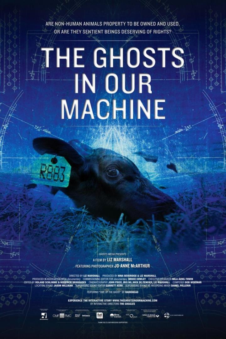 Das Filmplakat für „The Ghosts in Our Machine“ zeigt ein Kalb mit einer Ohrmarke.