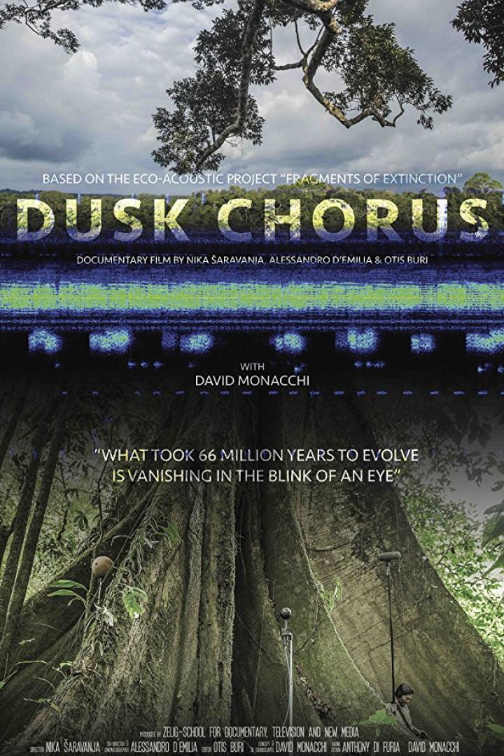 Das Filmplakat für „Dusk Chorus“ zeigt einen Baum im Dschungel und den Titel des Films.