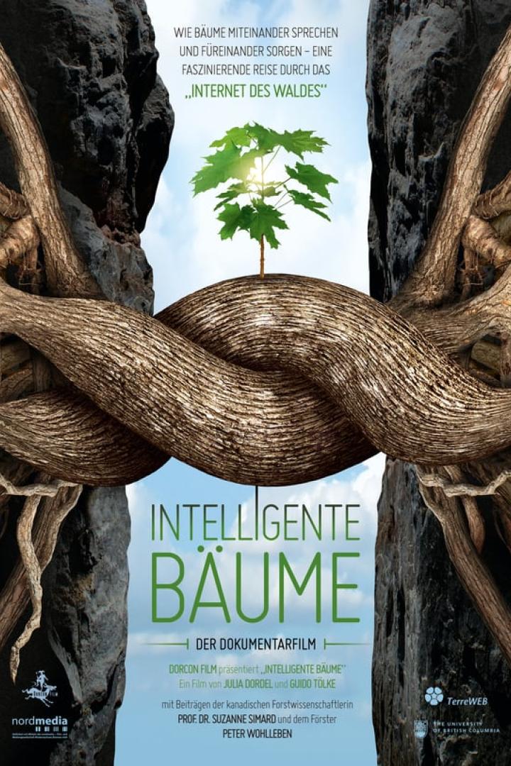 Das Filmplakat für „Intelligente Bäume – Der Dokumentarfilm“ zeigt einen Baum zwischen Felsen.