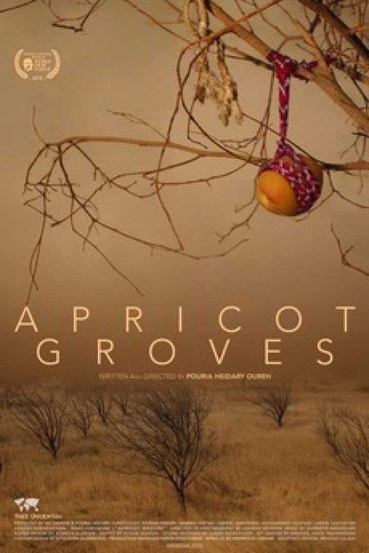 Das Filmplakat für „Apricot Groves“ zeigt einen Aprikosenbaum in einer trockenen Landschaft.