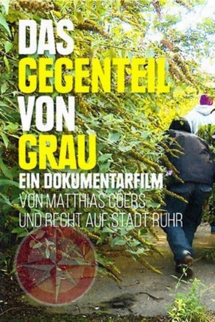 Das Filmplakat für den Dokumentarfilm „Das Gegenteil von Grau“ von Matthias Coers.