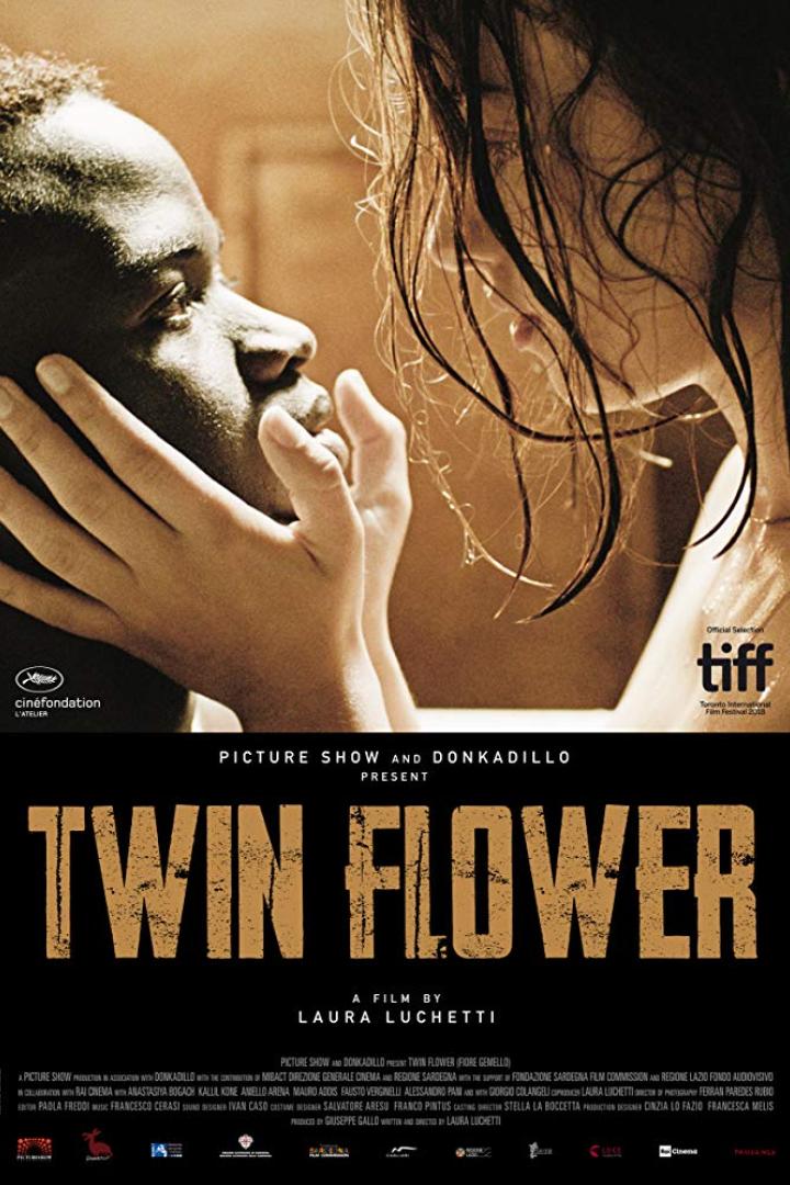 twin-flower-plakat.jpg