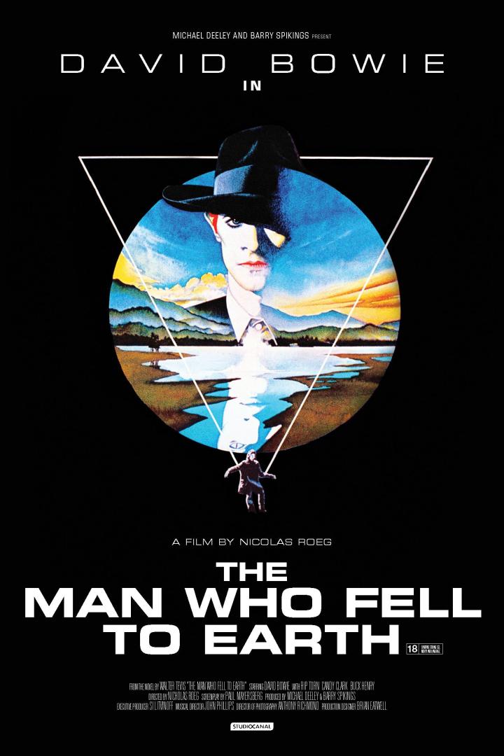 Der Mann, der vom Himmel fiel