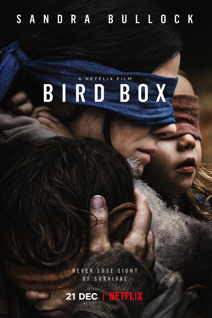 Bird Box - Schließe deine Augen