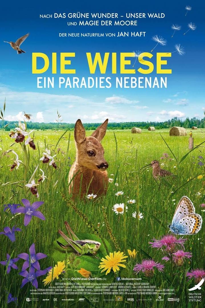 die-wiese-paradies-plakat.jpg