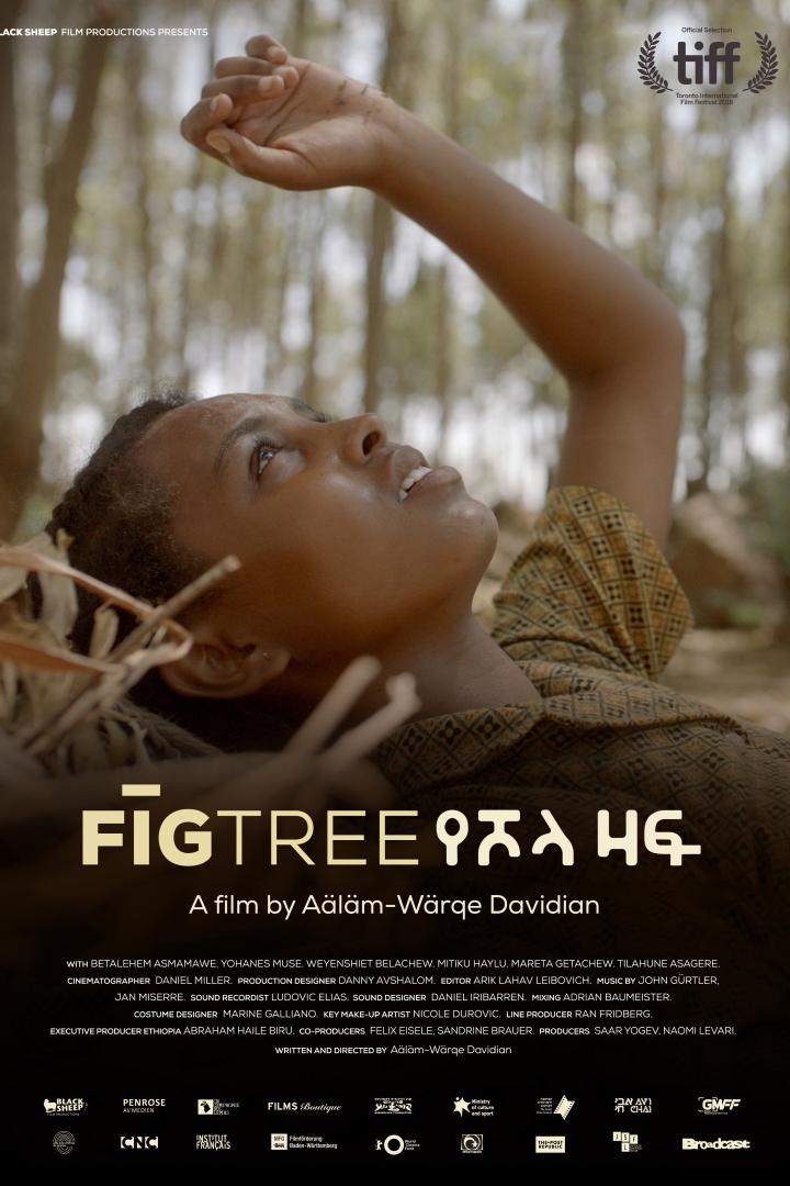 Das Filmplakat für „Fig Tree“ zeigt eine junge Frau, die im Gras liegt und in den Himmel schaut.
