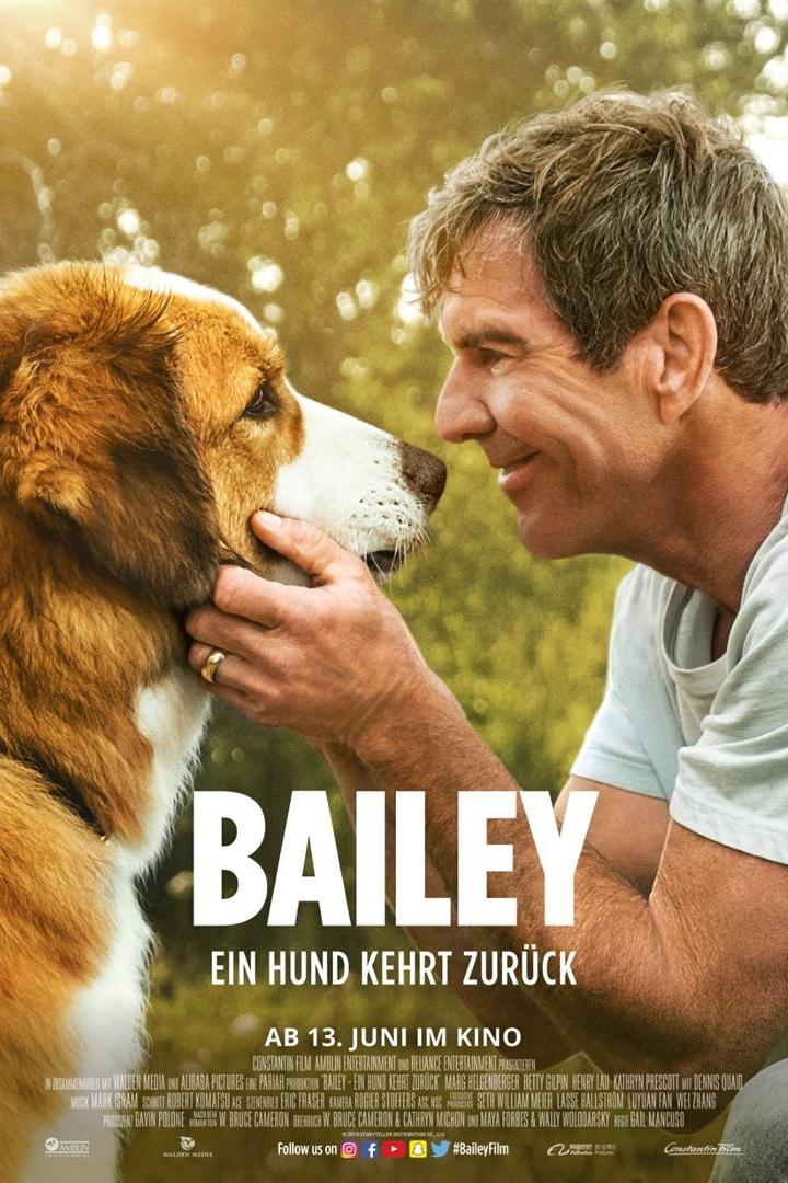 bailey-hund-kehrt-zurueck-plakat.jpg
