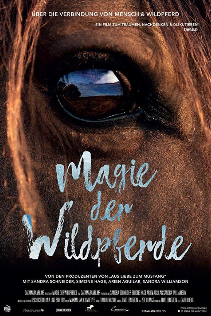 Das Filmplakat zu „Magie der Wildpferde“ zeigt das Auge eines Pferdes, in dem sich eine Landschaft spiegelt.