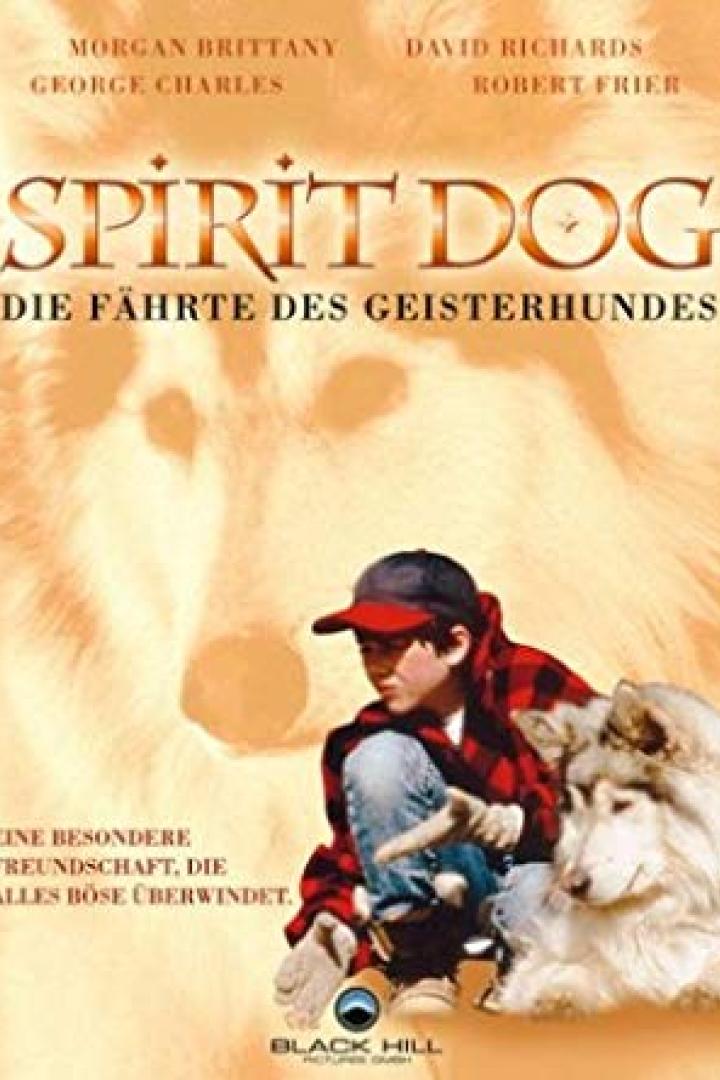 spiritdog-plakat.jpg