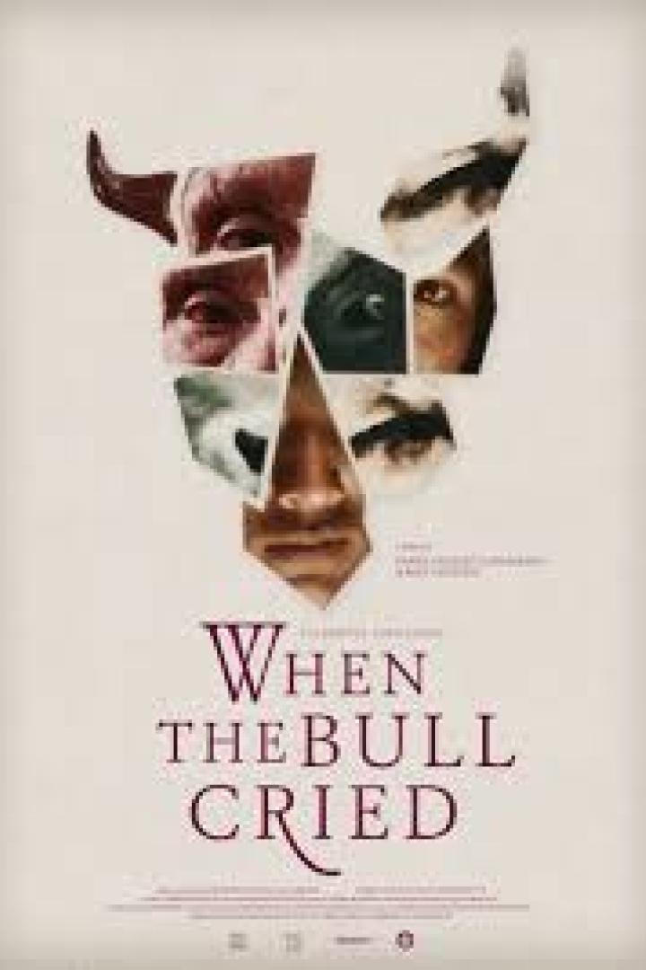 Das Filmplakat für „When the Bull Cried“ zeigt ein Gesicht, das aus Fragmenten zusammengesetzt ist, in Form eines Stierkopfes.