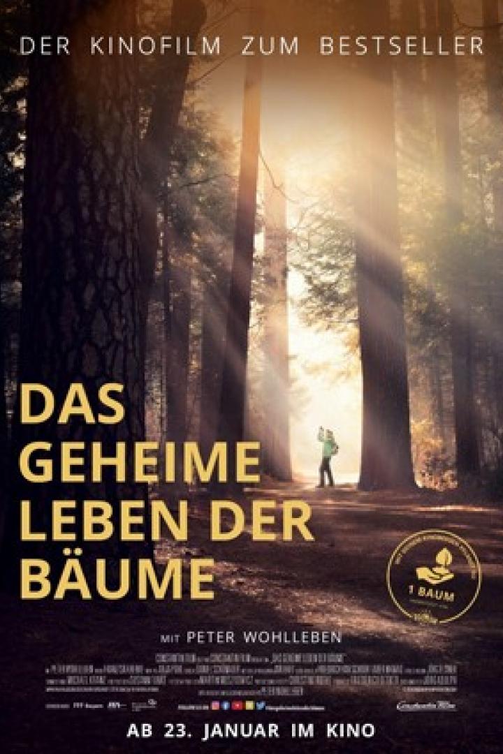 geheime-leben-der-baeume-plakat.jpg