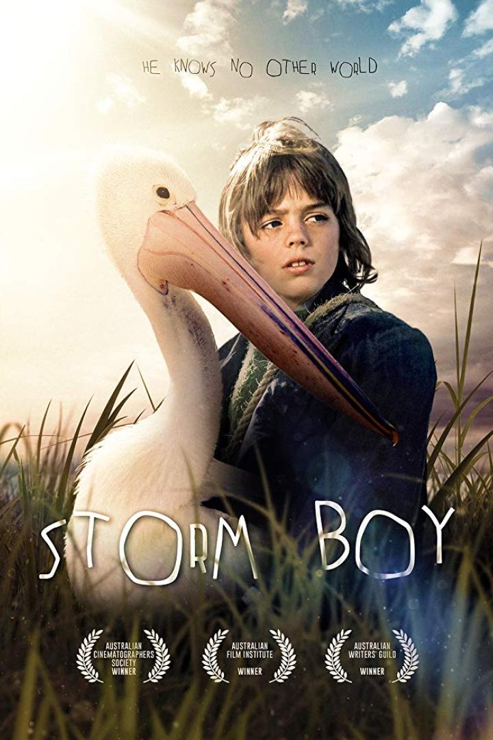 Ein Junge steht neben einem Pelikan auf dem Filmplakat für „Storm Boy“.