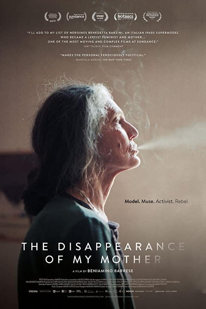 disappearance-of-my-mother-plakat.jpg