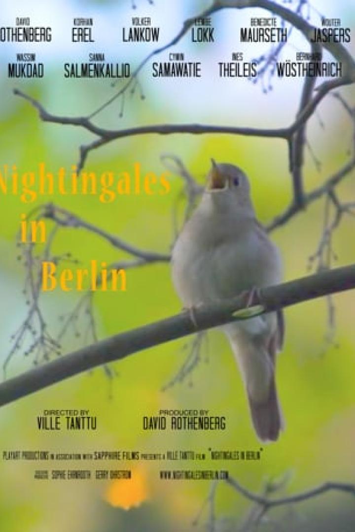Das Filmplakat für „Nightingales in Berlin“ zeigt einen Vogel auf einem Ast.