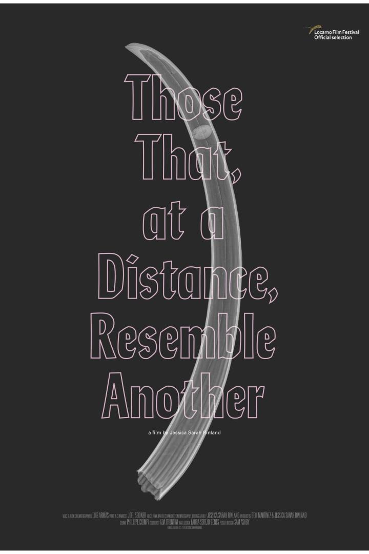 Das Filmplakat für „Those That, at a Distance, Resemble Another“ von Jessica Sarah Rinland.