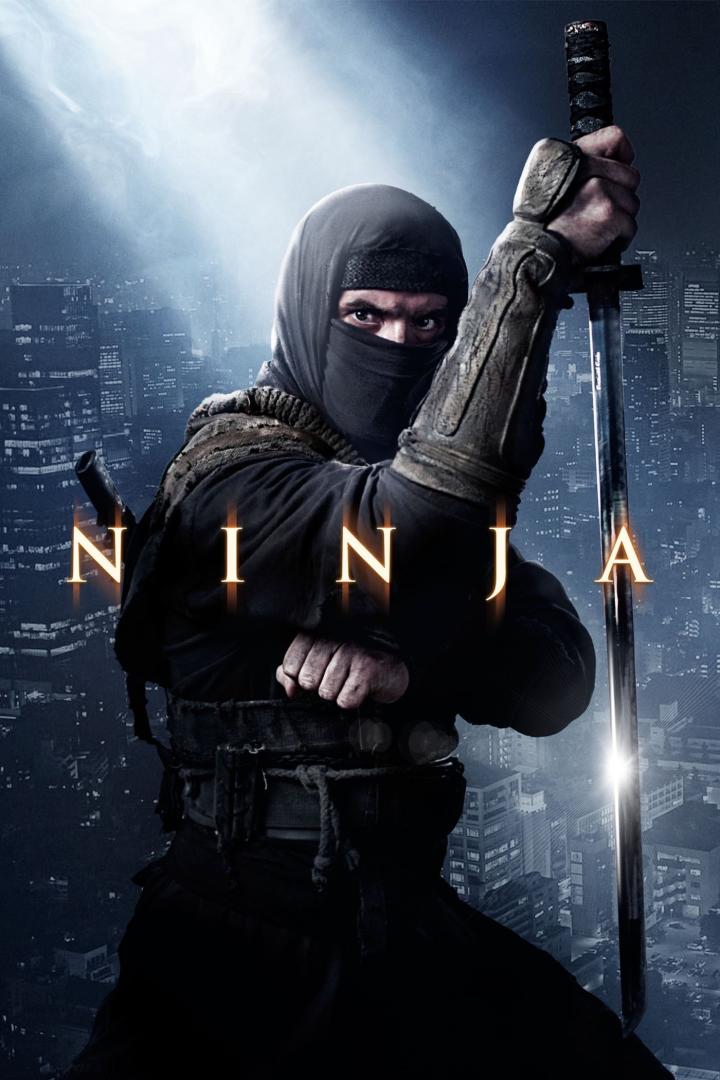 Ninja: Shadow of a Tear