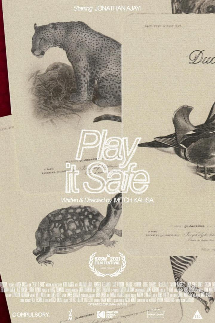 Das Filmplakat zu „Play it Safe“ zeigt Zeichnungen eines Leoparden, einer Ente und einer Schildkröte.