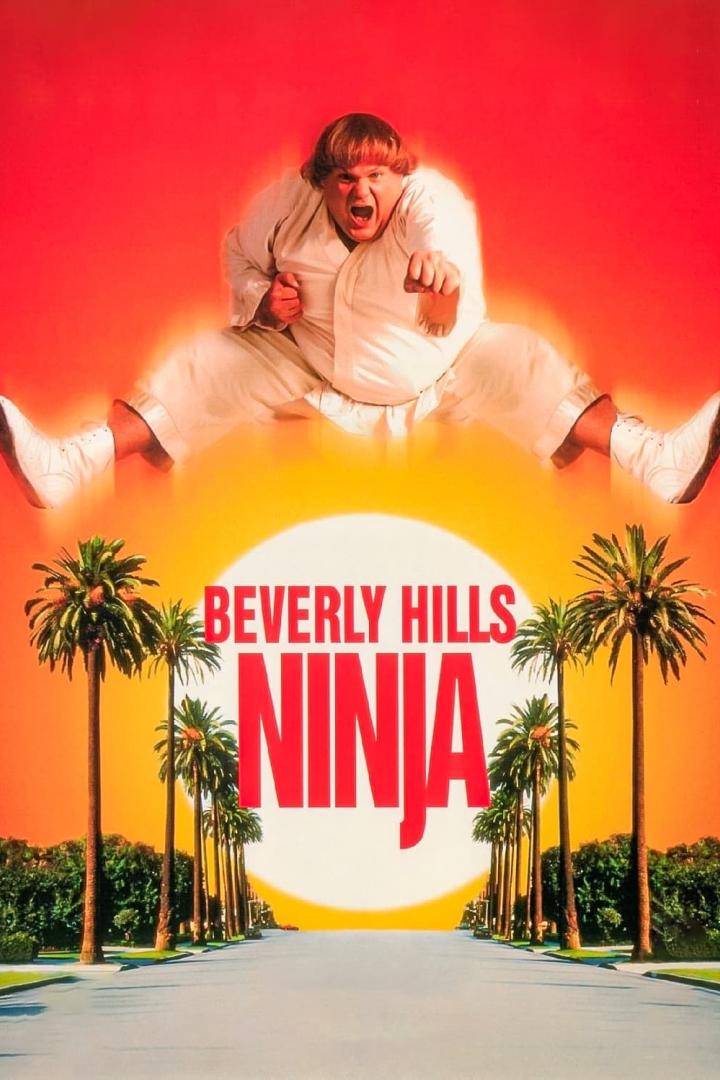 Beverly Hills Ninja