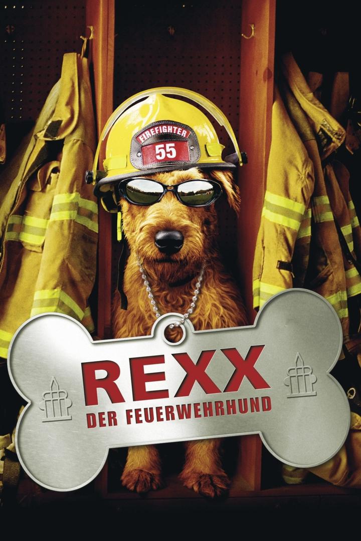 Firehouse Dog