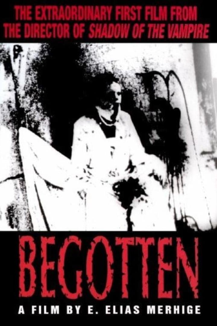 Begotten