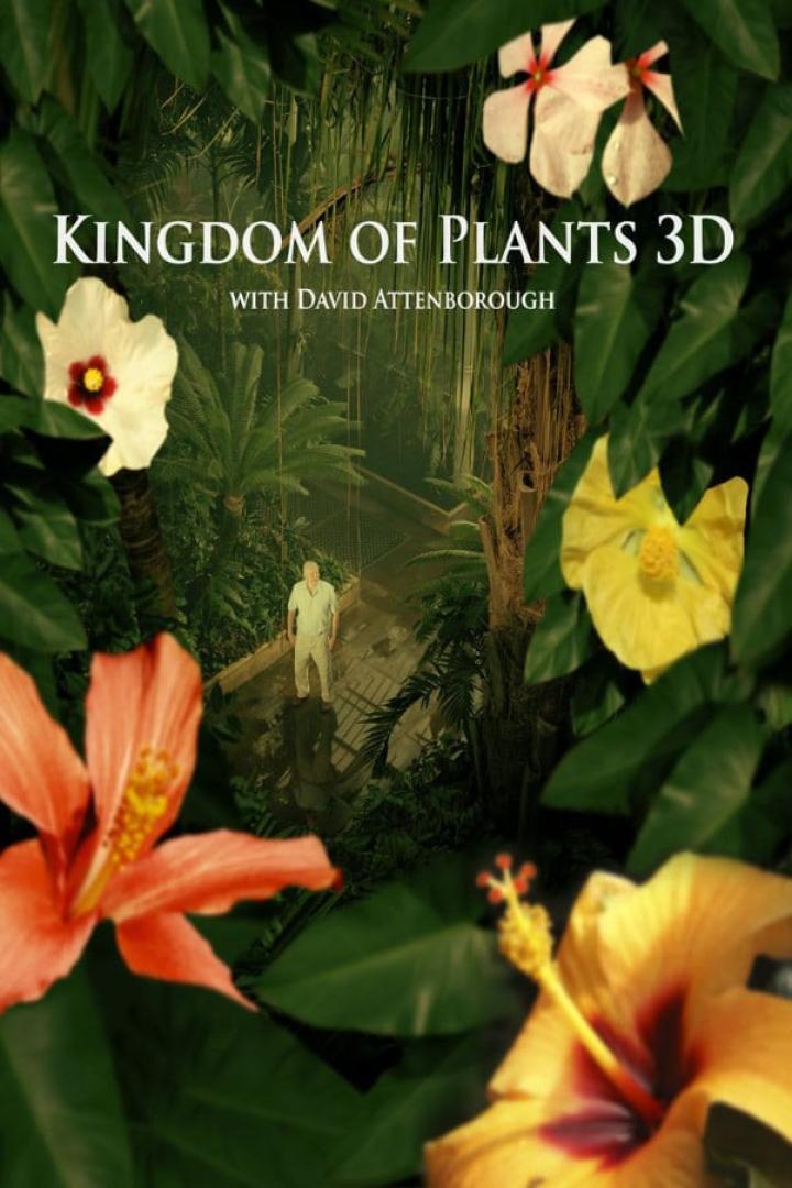 David Attenborough im „Kingdom of Plants 3D“, umgeben von tropischer Vegetation und Hibiskusblüten.