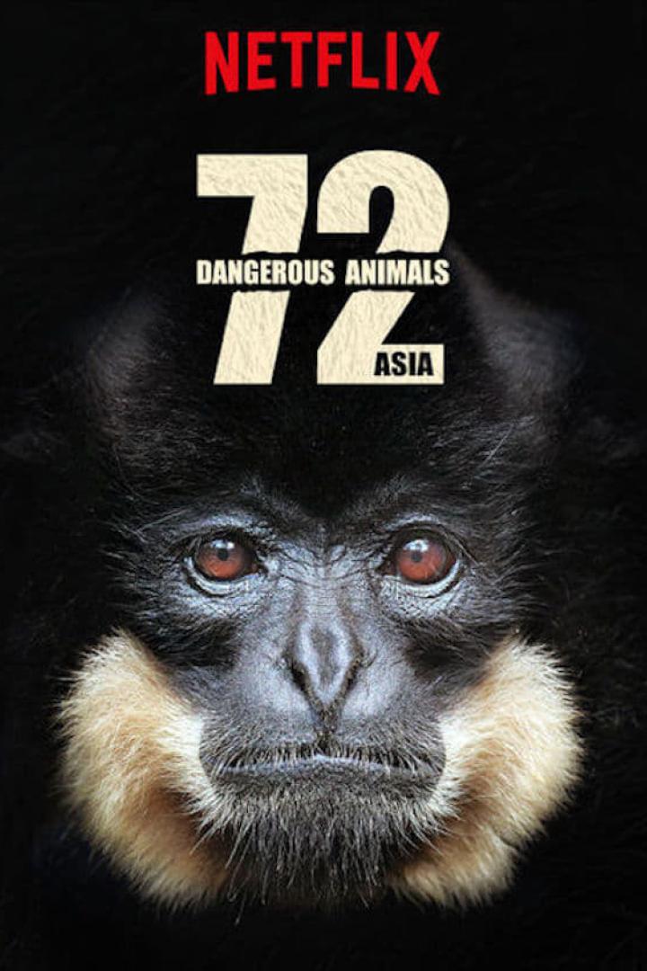 Das Filmplakat für „72 Dangerous Animals: Asia“ auf Netflix zeigt das Gesicht eines Gibbons.