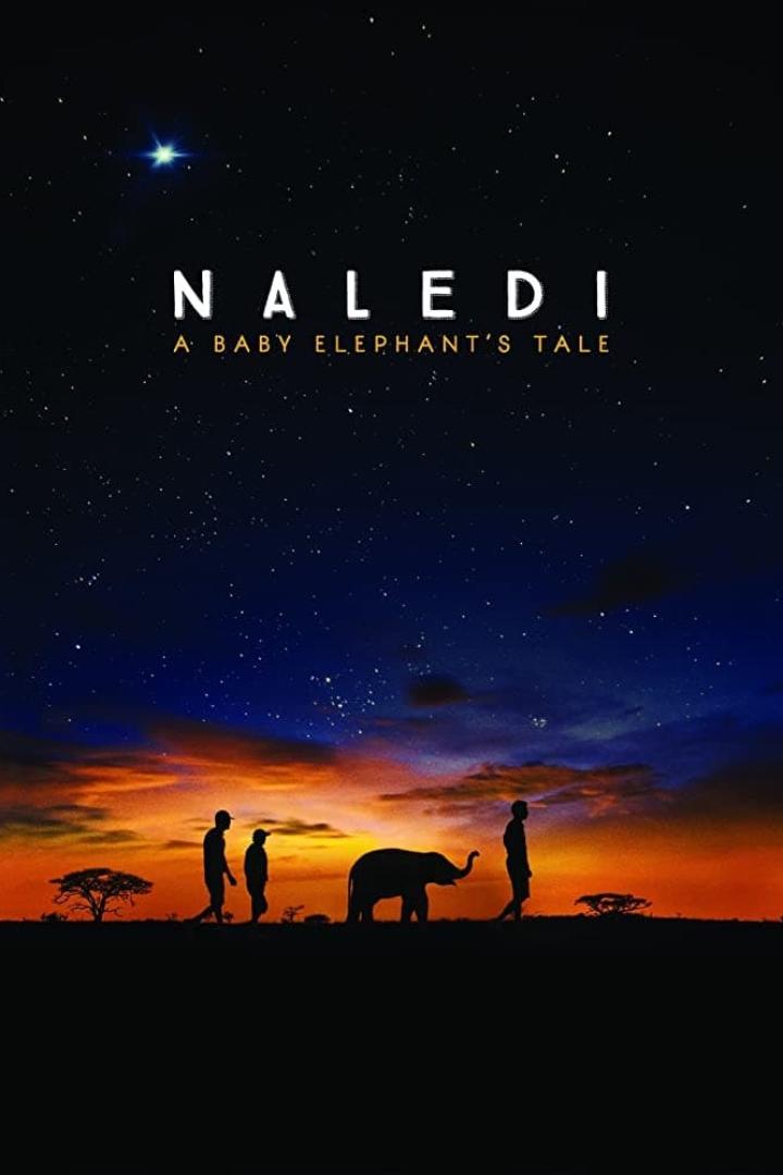 Das Filmplakat für „Naledi: A Baby Elephant's Tale“ zeigt einen Elefanten und Menschen vor einem Sternenhimmel.