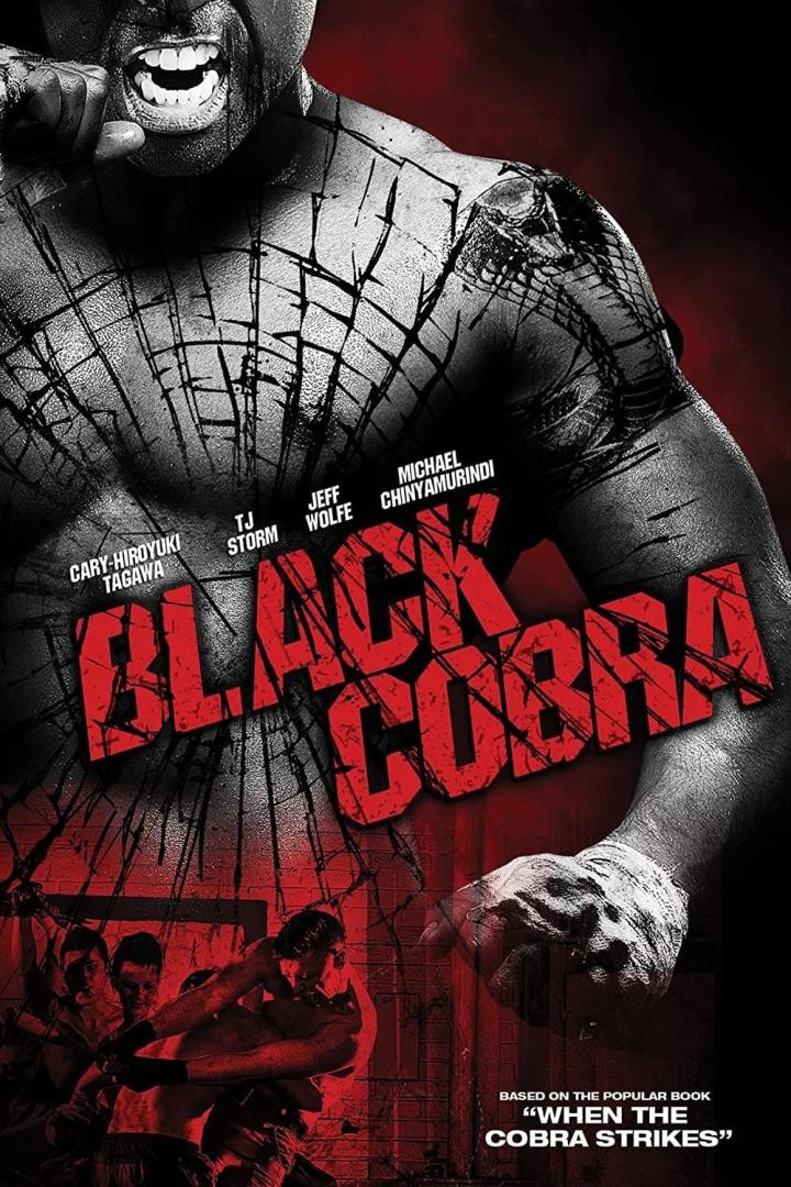 Das Filmplakat für „Black Cobra“ zeigt einen muskulösen Mann mit zersplittertem Glas im Hintergrund.