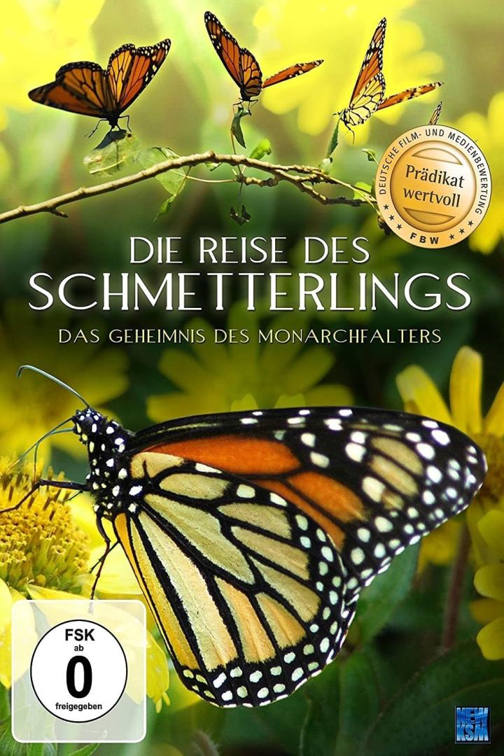 Das Cover des Films „Die Reise des Schmetterlings“ zeigt Monarchfalter vor gelben Blumen.