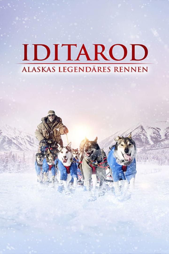 Iditarod, la dernière course de Nicolas Vanier