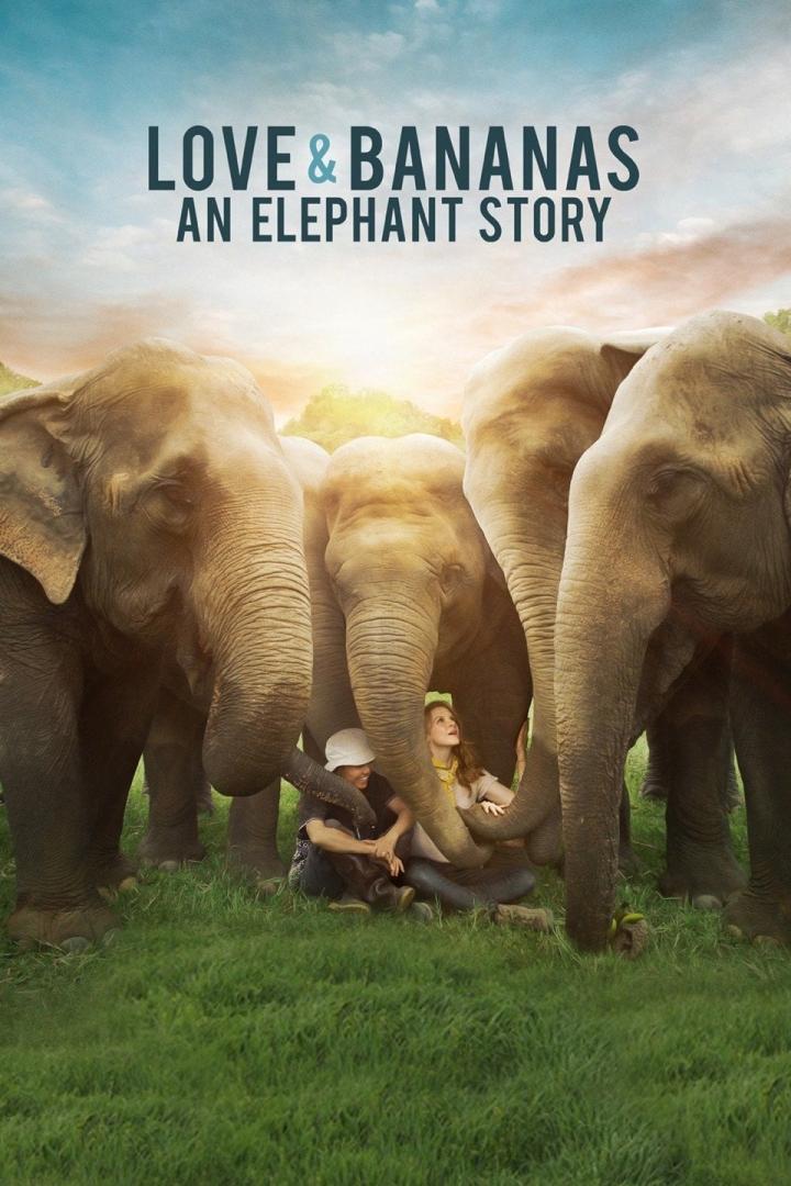 Das Filmplakat für „Love & Bananas: An Elephant Story“ zeigt Menschen inmitten einer Elefantenherde.