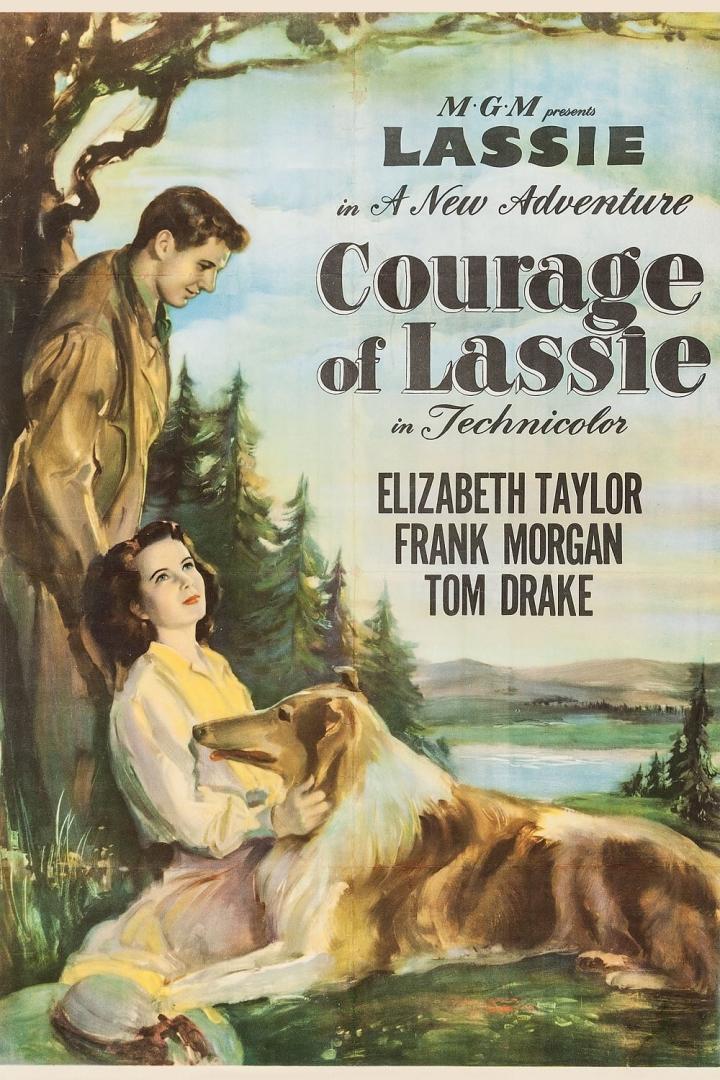 Courage of Lassie