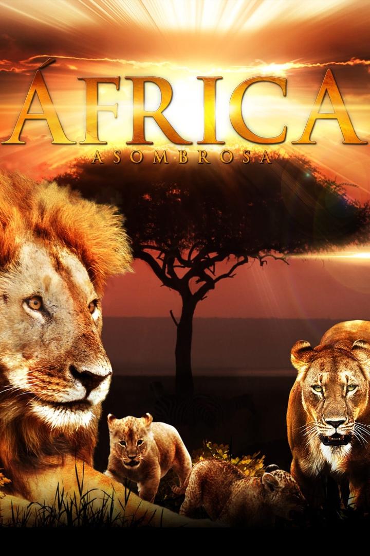 Amazing Africa