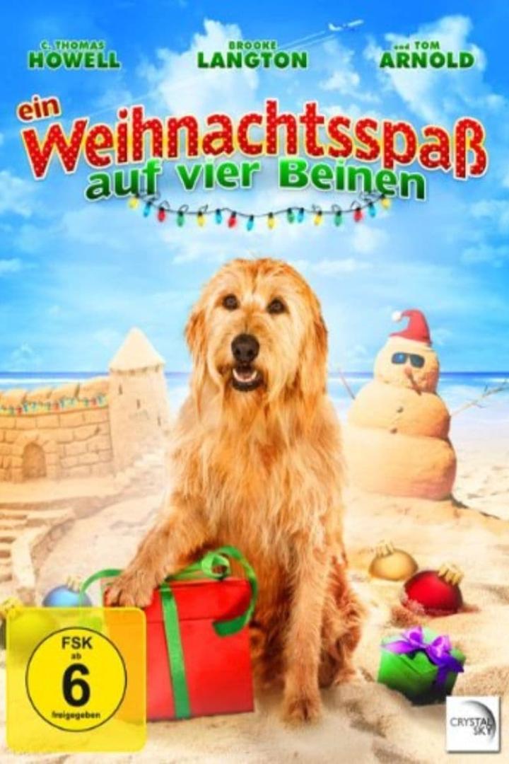 Das Filmplakat für „Ein Weihnachtsspass auf vier Beinen“ zeigt einen Hund am Strand mit Weihnachtsdekorationen.