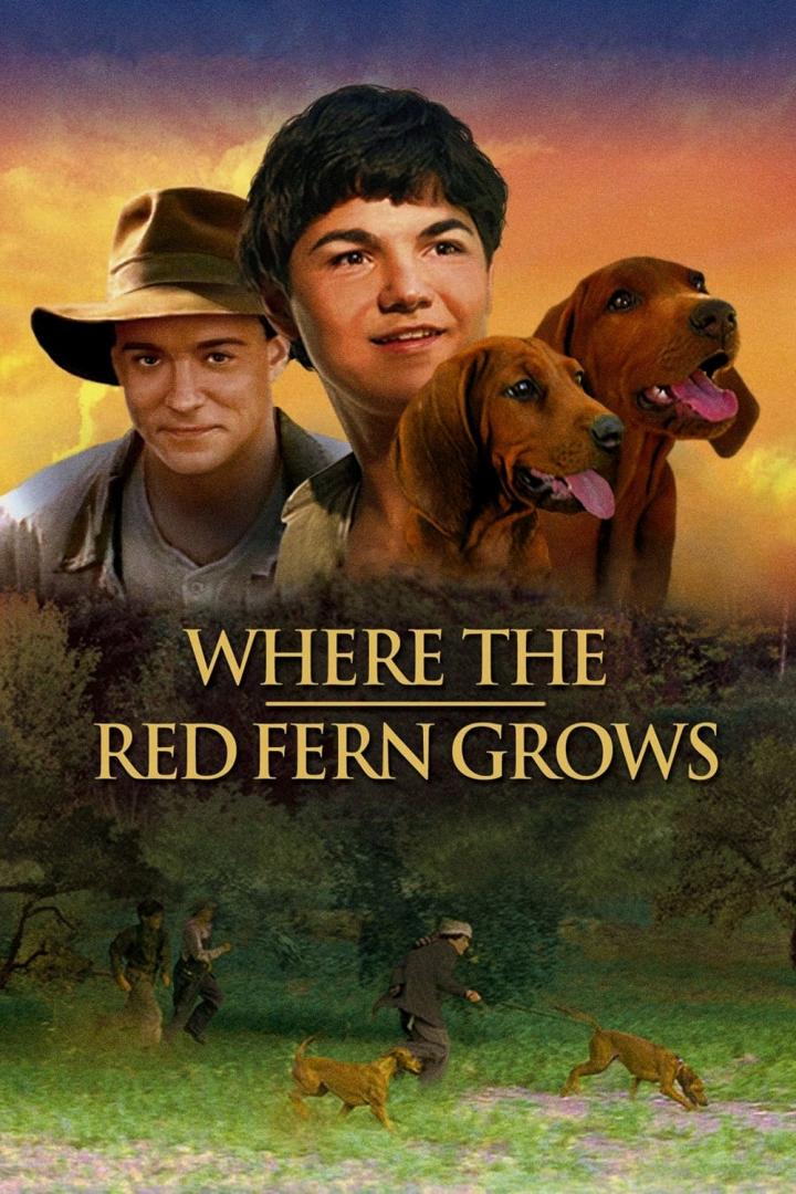 Das Filmplakat für „Where the Red Fern Grows“ zeigt zwei Jungen und zwei Hunde vor einem Sonnenuntergang.