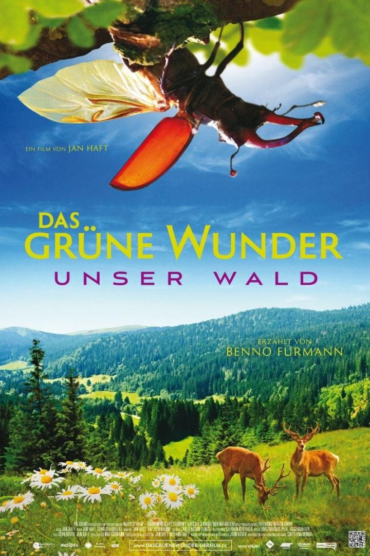 Das grüne Wunder - Unser Wald