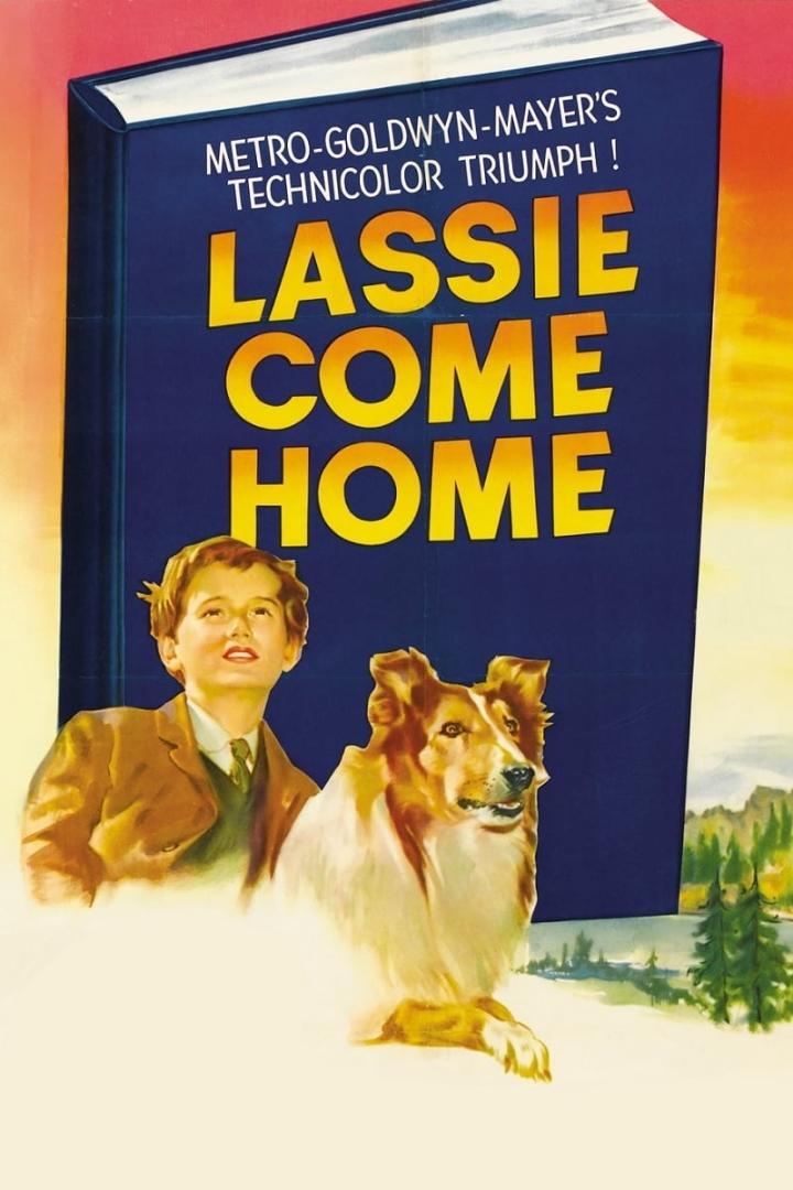 Lassie come home