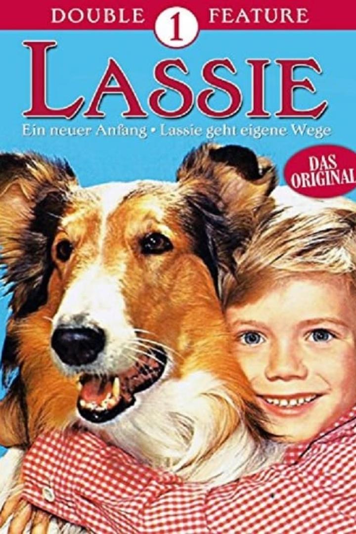 Lassie: A New Beginning