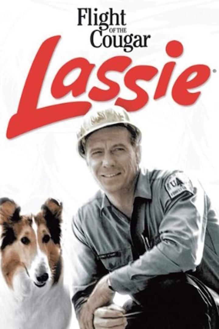 Lassie: Flight of the Cougar