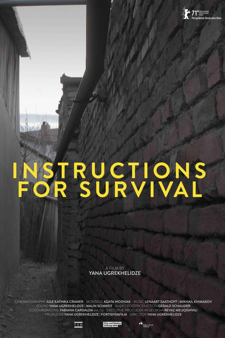 Das Filmplakat für „Instructions for Survival“ zeigt eine Gasse zwischen zwei Backsteinmauern.