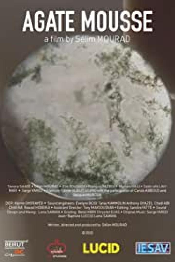 Das Filmplakat für „Agate Mousse“ von Selim Mourad zeigt einen Moosachat.