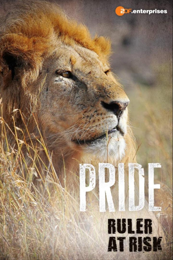 Pride - Ruler's at Risk