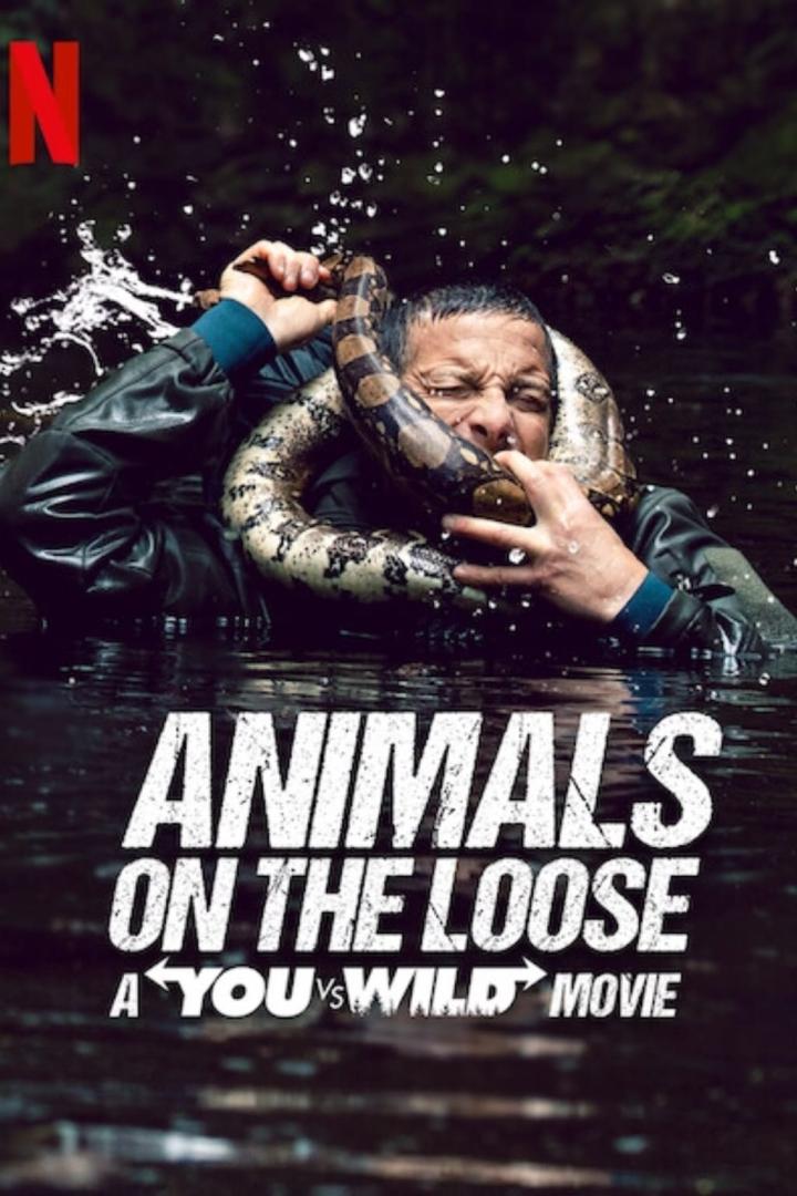 Ein Mann steht bis zur Brust im Wasser, eine große Schlange um den Hals, Filmposter für „Animals on the Loose“.
