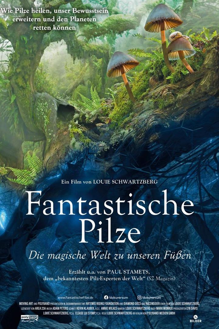 Das Filmplakat für „Fantastische Pilze“ zeigt eine Szene mit Pilzen und einem Baumstamm.