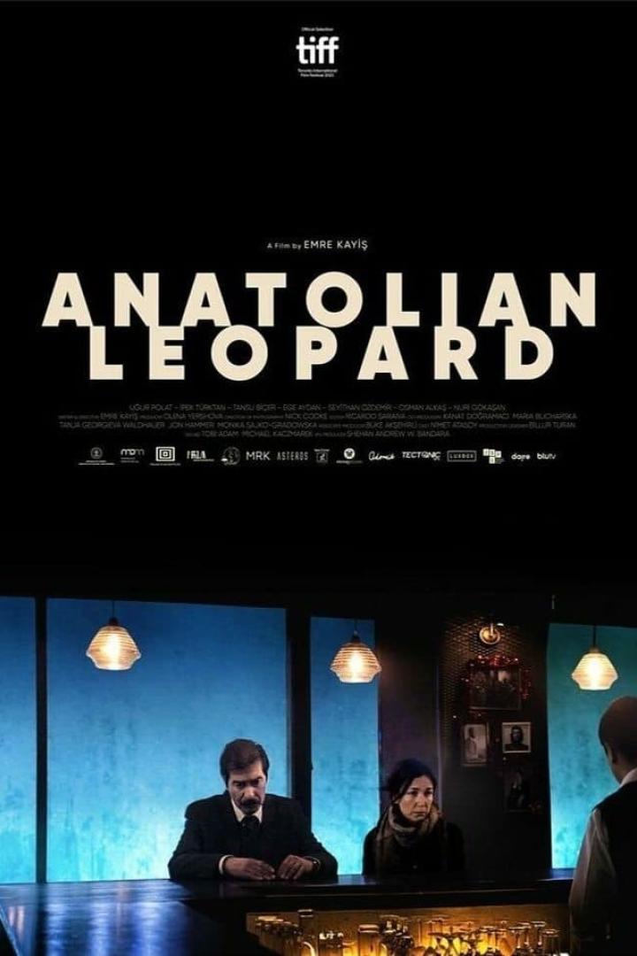 Anadolu Leoparı