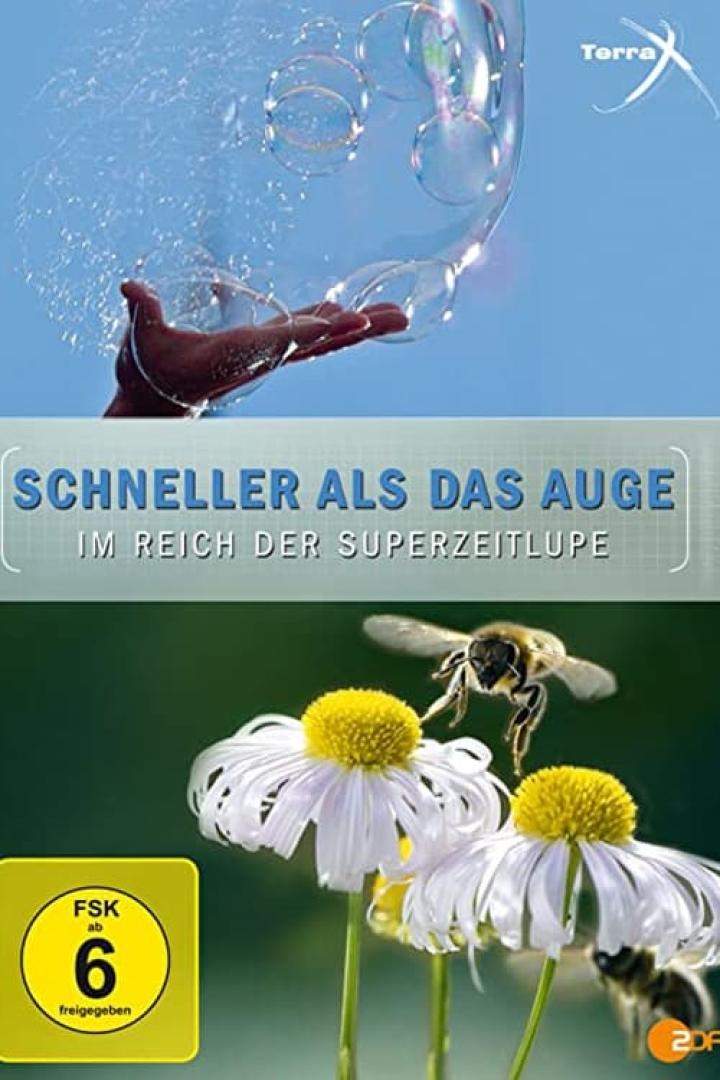 Terra X Schneller als das Auge