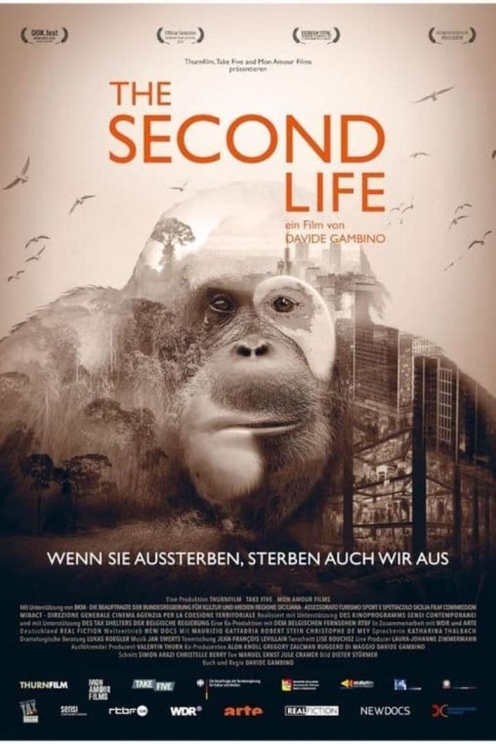 Das Filmplakat für „The Second Life“ zeigt das Gesicht eines Orang-Utans vor einer Stadtkulisse.