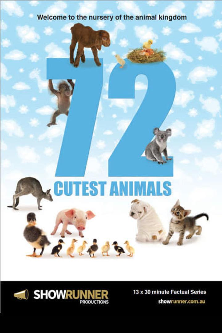Ein Werbeplakat für eine Serie über die 72 süßesten Tiere mit verschiedenen Tierbabys.
