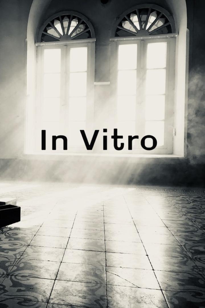 Ein Raum mit zwei Fenstern, durch die helles Licht scheint, und dem Text „In Vitro“.