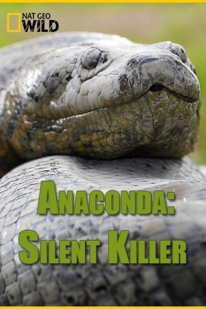 Nahaufnahme vom Kopf einer Anakonda, Titelbild von „Anaconda: Silent Killer“.